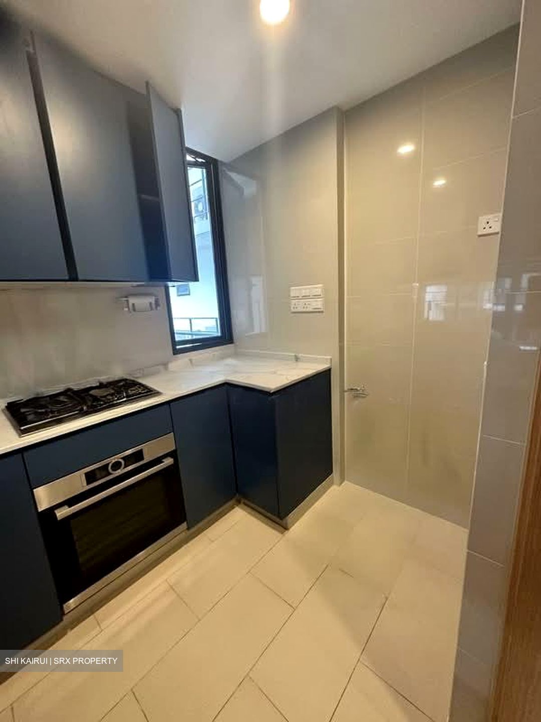La Fiesta (D19), Condominium #560905651